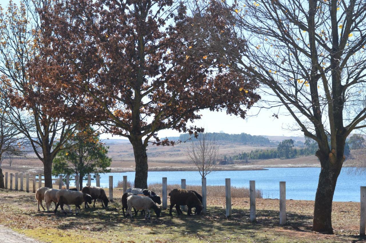 Dullstroom On The Dam Zewnętrze zdjęcie